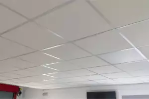 ACUSTEC-N