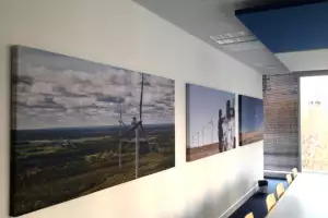 Tratamiento acústico absorbente en sala de videoconferencias