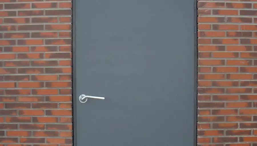 RS5-fa02.jpg