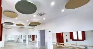 ACUSTIART-C