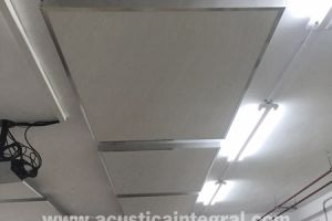 Absorbent treatment in municipal conservatory